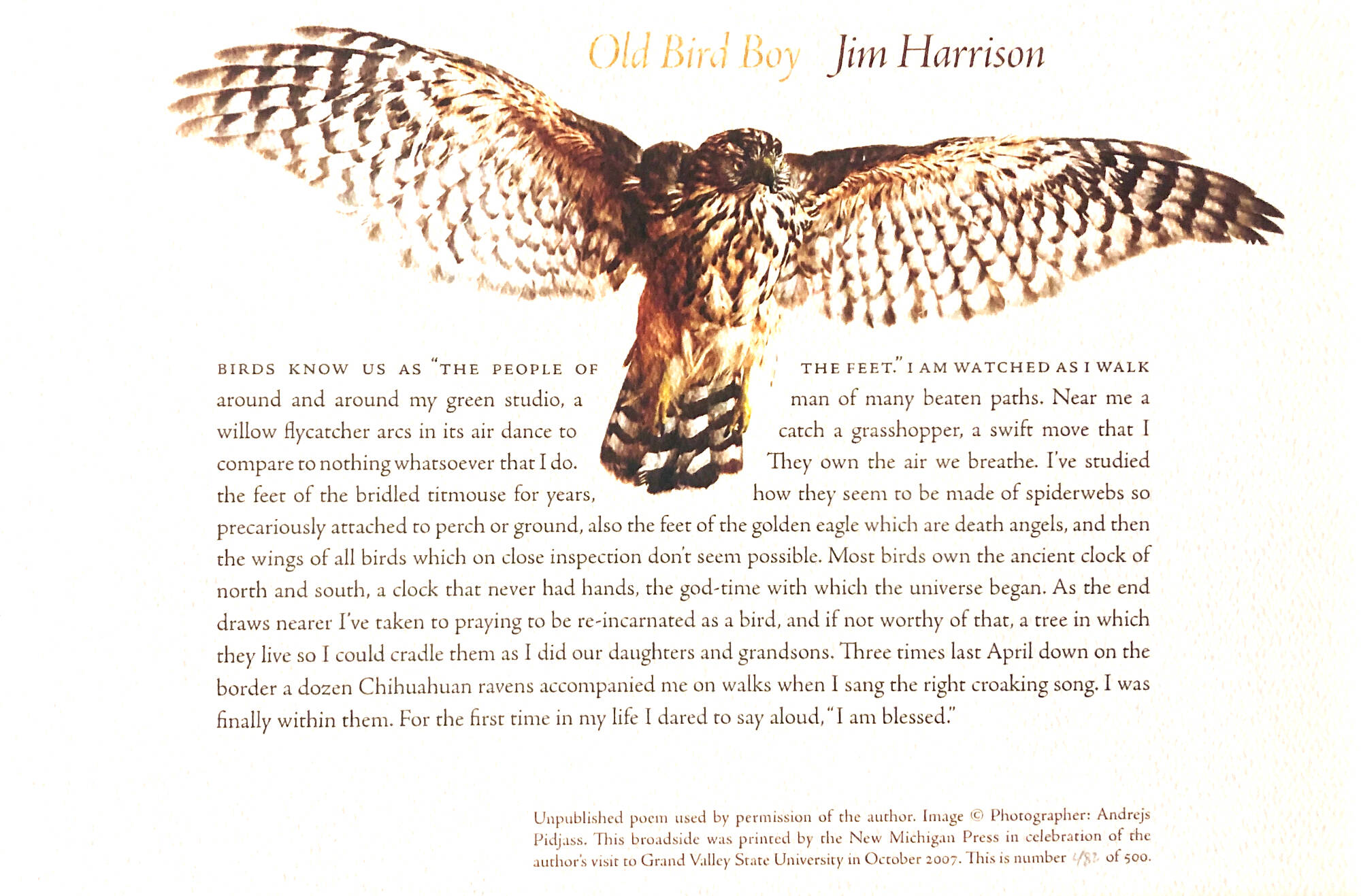 A broadside of a large bird with brown and white feathers and a passage of text below it. The bird's chest and extended wings are visible.